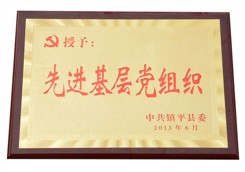 先进基层党组织