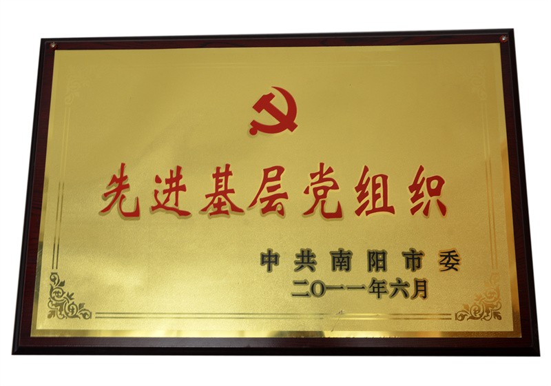 先进党基层组织